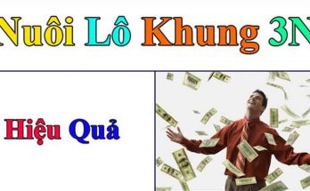 nuôi lô khung 3 ngày